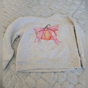 Garanimals Gray and Pink Pumpkin Sweatshirt